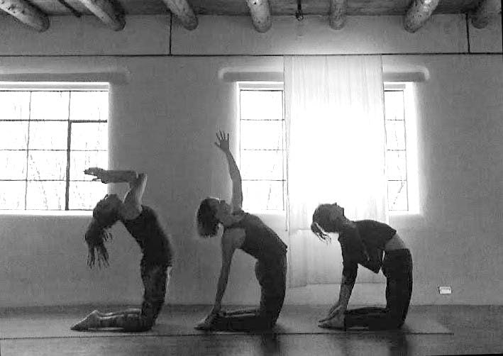 Yoga Fundamentals Live Taos Events Calendar