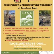 Food Forest Workshop