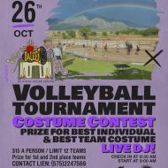 Volleyball Tournament and Costume Contest!