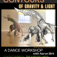 Contours of Gravity & Light: A Dance and Visual Art Workshop