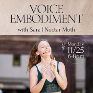 Voice Embodiment