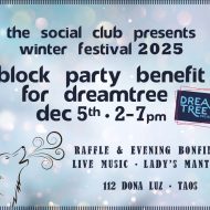 DreamTree Project Winter Festival with Lady's Mantle