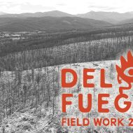 Del Fuego Field Work 2025