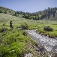 Restoring the Rio Fernando In Taos