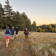 Taos Trail Runners: Group Run