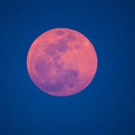 Taos Almanac Meeting with Taos Poet Laureate Sylvia Rains Dennis