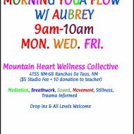 Morning Yoga Flow with Aubrey