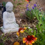 Monday Meditation Group