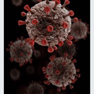 Talk About Viruses and Vaccines