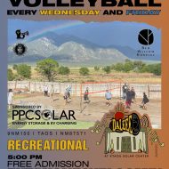 Volleyball at Daleee