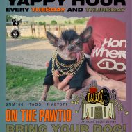 Yappy Hour on the Pawtio