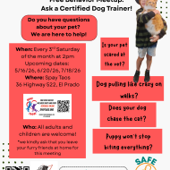 FREE Behavioral Meet-Up at Spay Taos: Ask A Trainer!