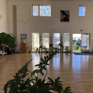 Feldenkrais® Awareness Through Movement® Workshop