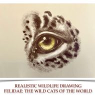 Free Youth Wildlife Drawing Workshop