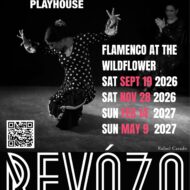 Flamenco with ReVoZo