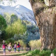Re-Earthing Futures Family Festival at Rio Fernando Park