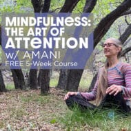 Mindfulness: The Art of Attention