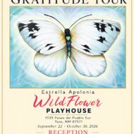 Estrella Apolonia: The Gratitude Tour Artist Reception