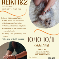 Reiki Level 1 and 2 Training