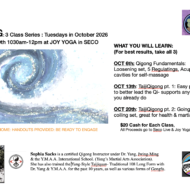 Qigong Three-Class Series
