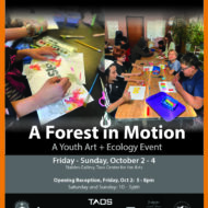 Disturbance: A Forest in Motion: Youth Art + Ecology Exhibition OPENING RECEPTION